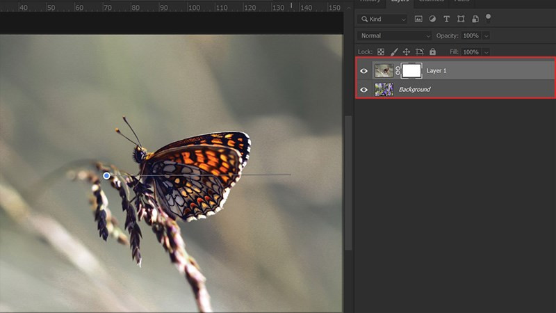 4 Cách Phối Hợp Ảnh Trong Photoshop Cực Đơn Giản Cho Người Mới Bắt Đầu