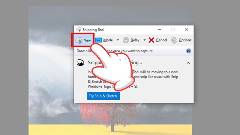 Hướng Dẫn Chụp Màn Hình Windows 10 Với Snipping Tool