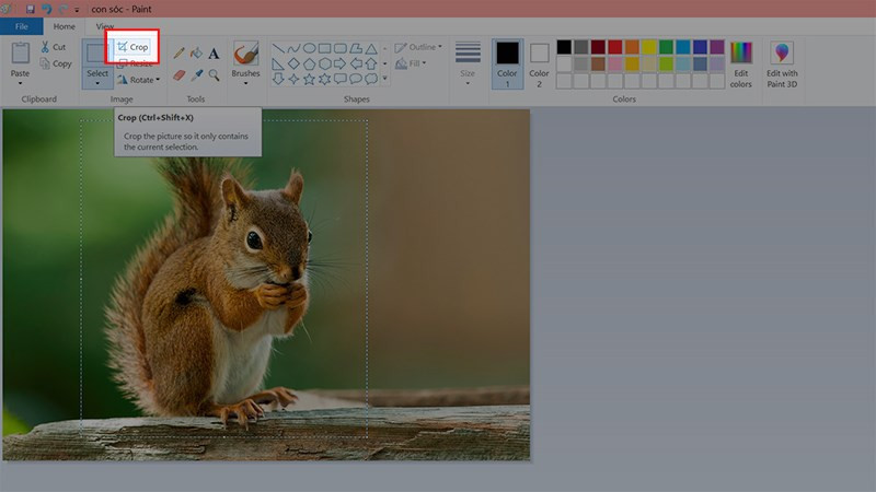 Chọn Crop ở bên phải Select hoặc nhấn tổ hợp phím Ctrl + Shift + X để cắt ảnh