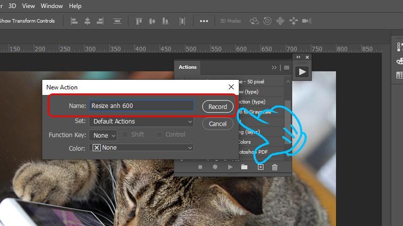 Đặt tên và Record Action
