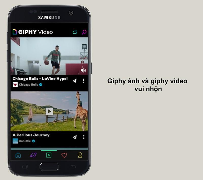 GIF và video ngắn vui nhộn trên GIPHY