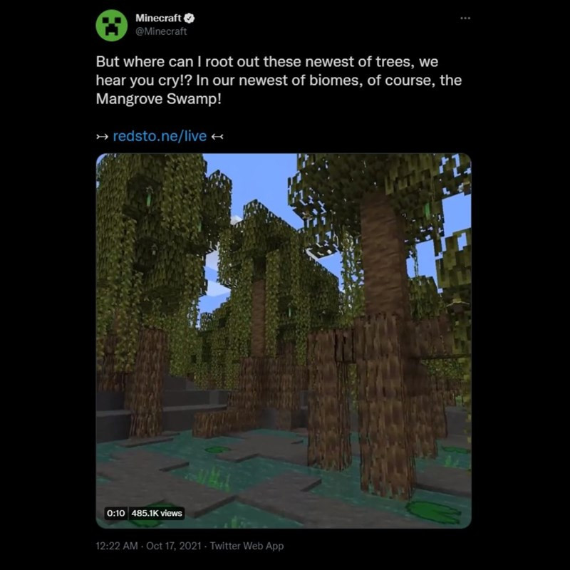 Hệ sinh thái rừng ngập mặn được tiết lộ trên twitter chính thức của Minecraft