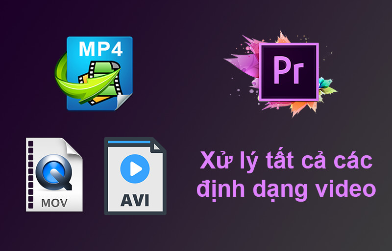 Hỗ trợ mọi định dạng video