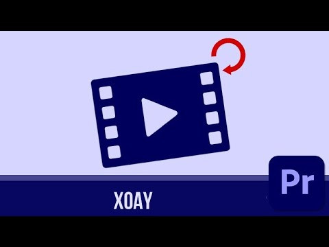 Thủ thuật Adobe Premiere: Xoay, Lật và Thay Đổi Kích Thước Video Dễ Dàng