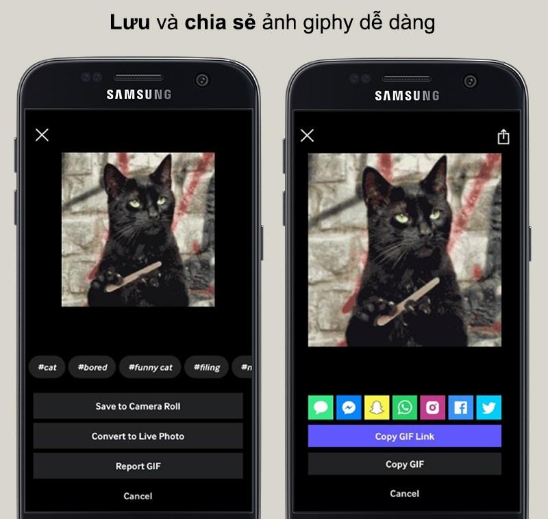 Lưu và chia sẻ GIF trên GIPHY