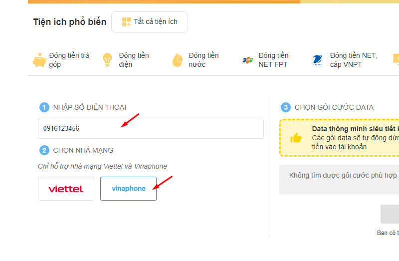 Nhập số điện thoại và chọn nhà mạng Vinaphone