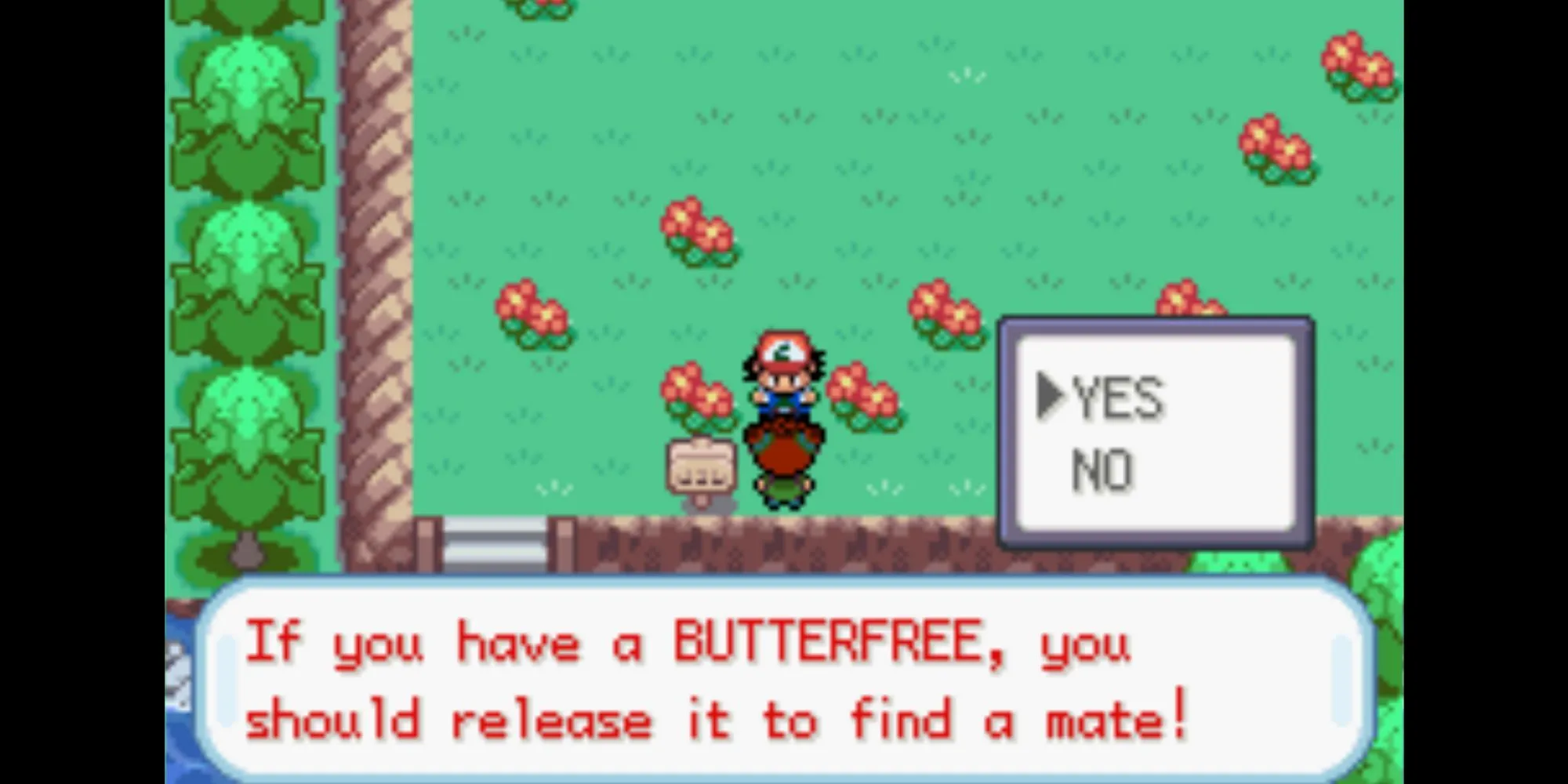 Ash chia tay Butterfree trên Route 7 trong Pokemon Ash Gray