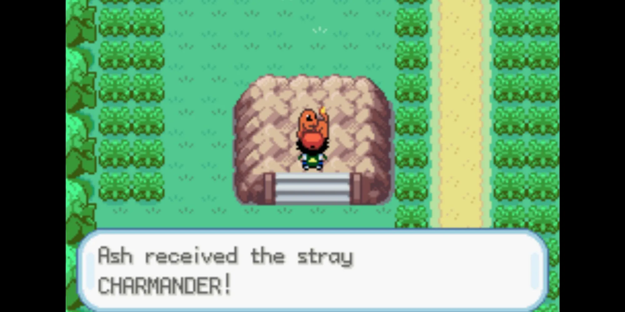 Ash gặp Charmander bị bỏ rơi trên Route 5 trong game Pokemon Ash Gray