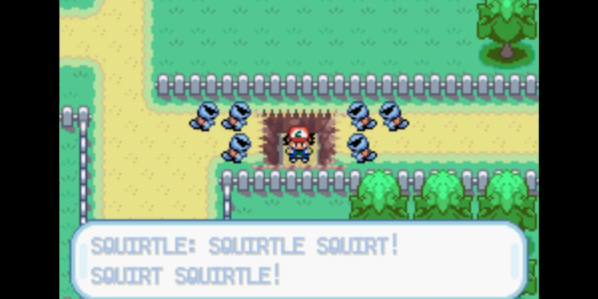 Biệt đội Squirtle tinh nghịch trong Pokemon Ash Gray
