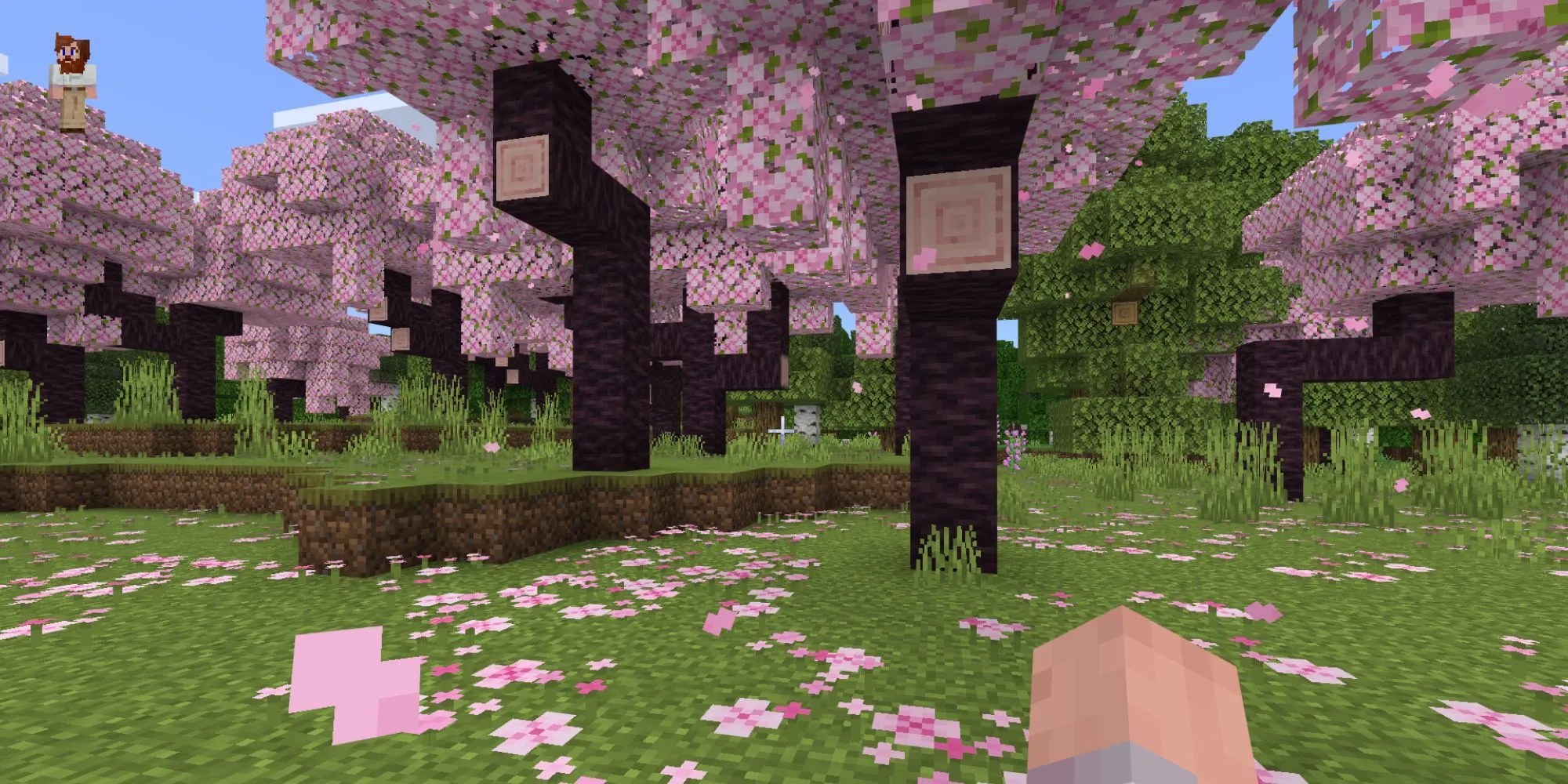 Khu rừng hoa anh đào trong Minecraft với cảnh quan hùng vĩ
