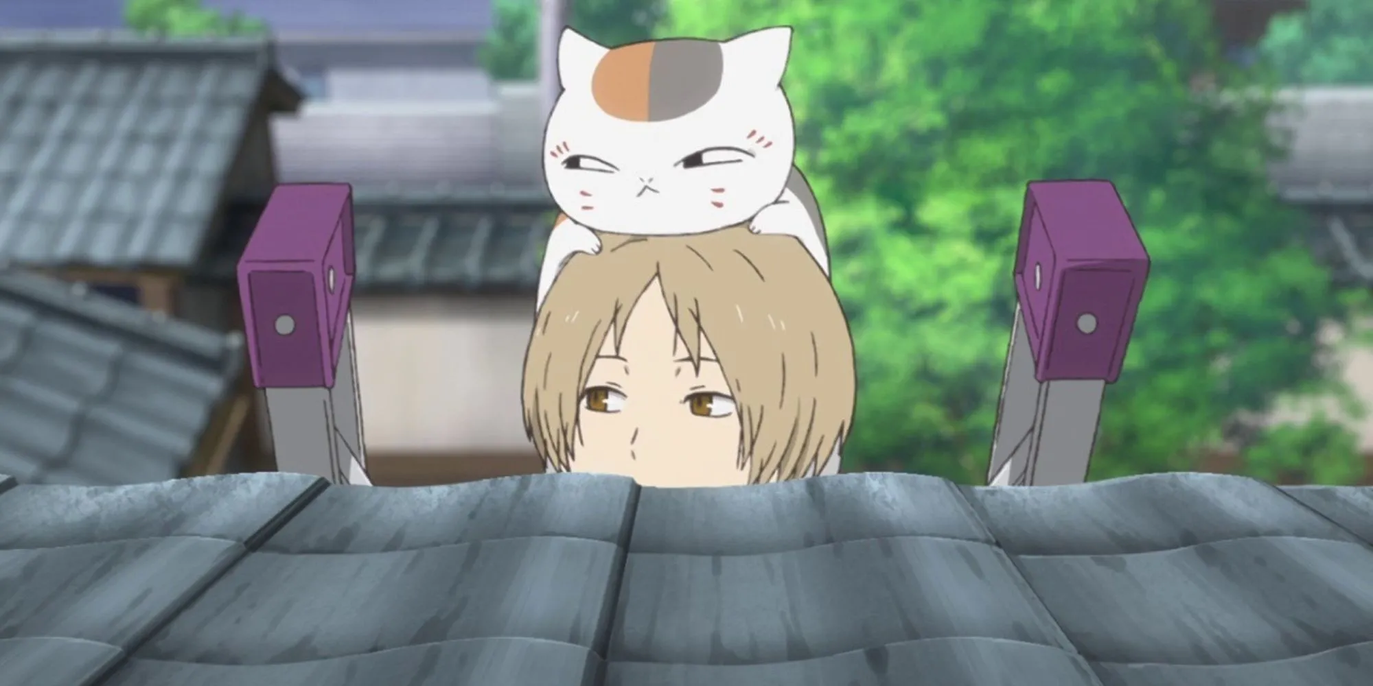 Natsume và Nyanko-sensei trong anime Natsume's Book of Friends