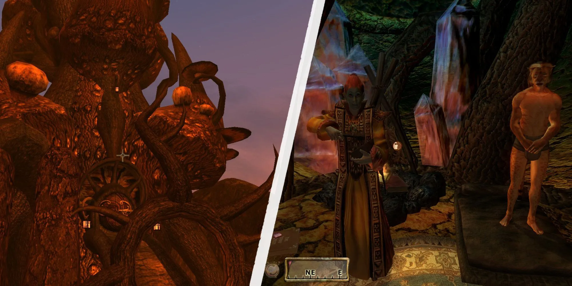 Pháp sư Therana, ủy viên hội đồng Telvanni, tại Tel Branora trong game Morrowind.
