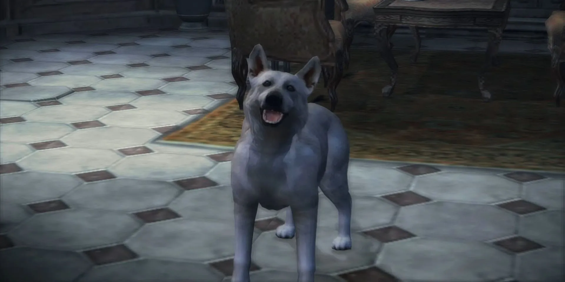 Chú chó Hewie dũng cảm bảo vệ Fiona khỏi kẻ truy đuổi trong tựa game kinh dị sinh tồn Haunting Ground