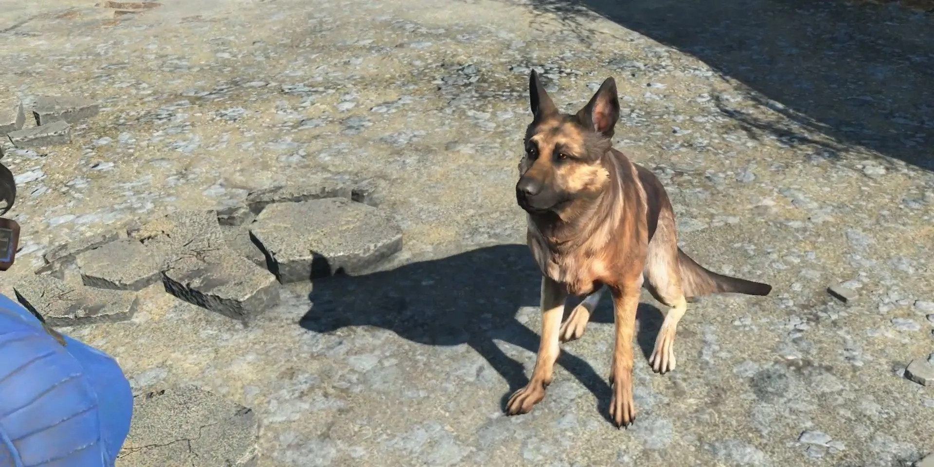 Chú chó trung thành Dogmeat, người bạn đồng hành không thể thiếu của Sole Survivor trong thế giới hậu tận thế Fallout 4