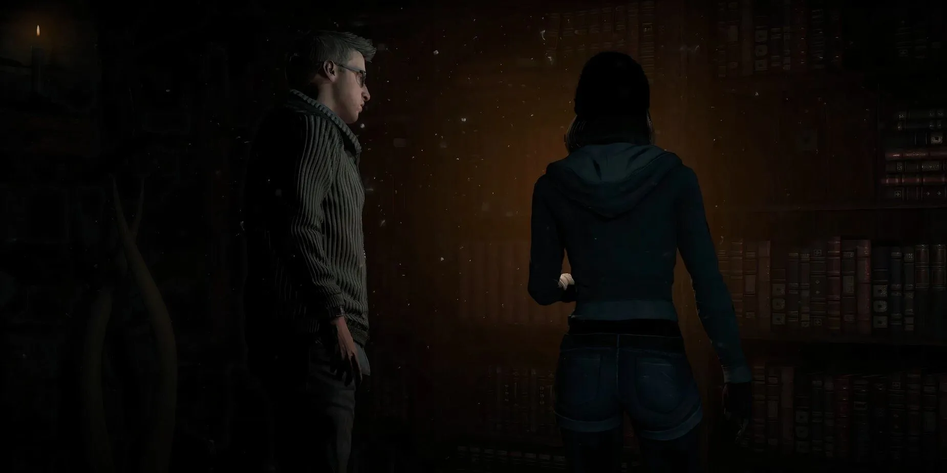 Until Dawn Gameplay Characters Book Case