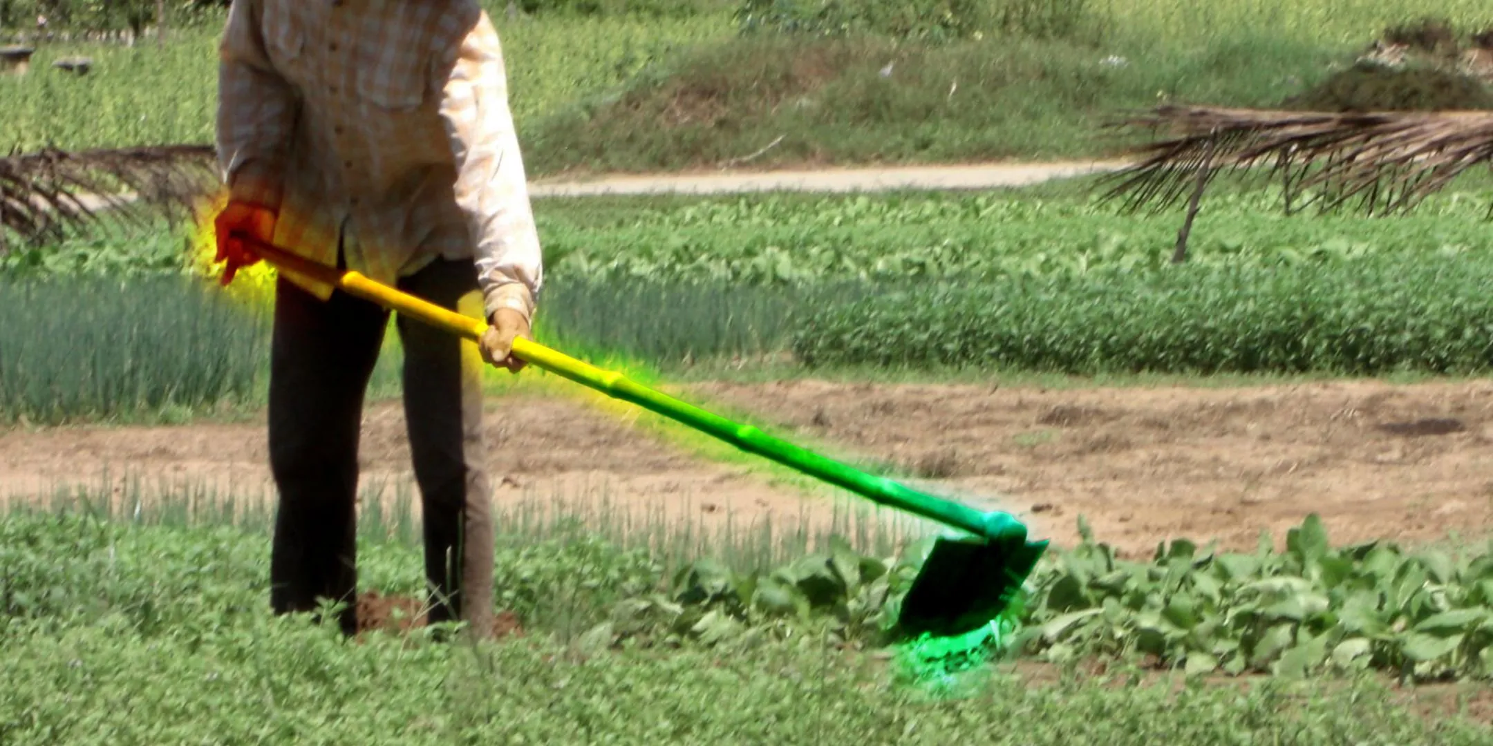 Nông dân sử dụng cuốc phát sáng cầu vồng trong cánh đồng, gợi nhắc công cụ nâng cấp trong game
