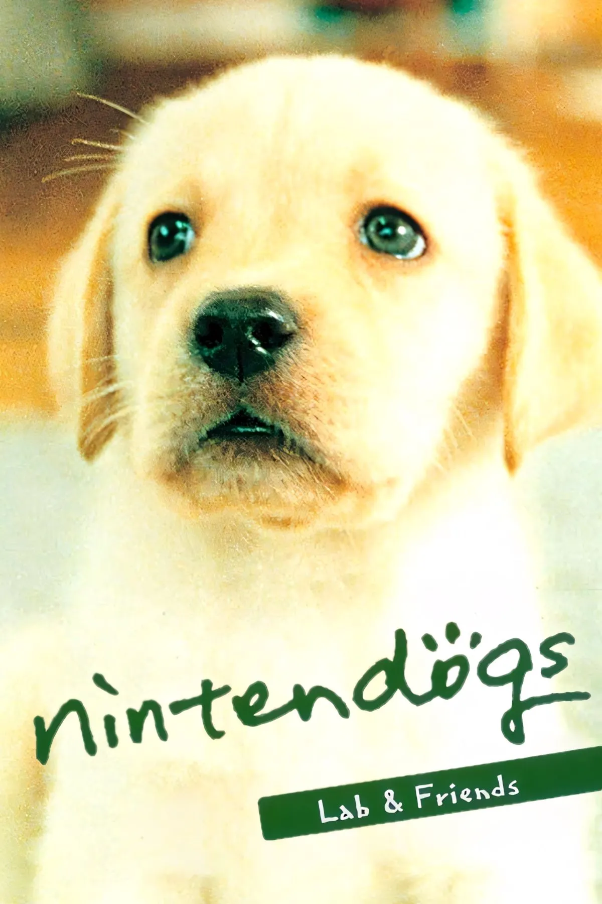 Ảnh bìa trang tag Nintendogs, hiển thị các giống chó quen thuộc từ game Nintendogs trên Nintendo DS, đại diện cho huyền thoại game nuôi thú ảo.