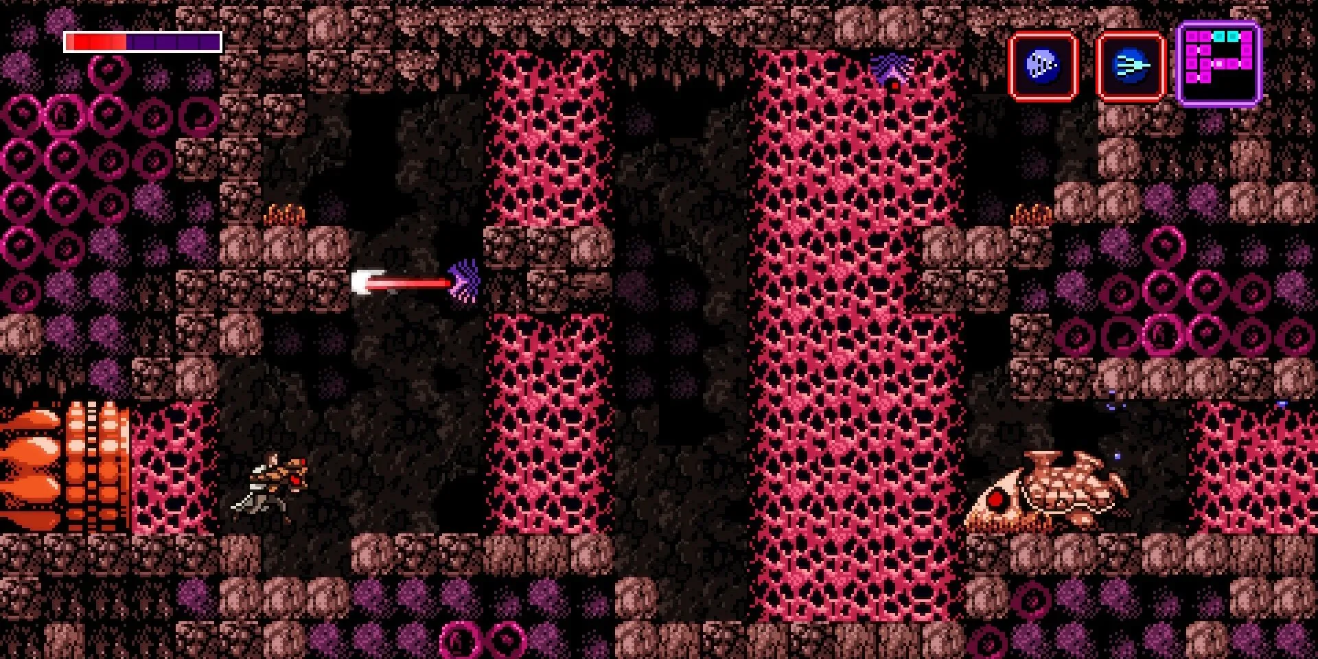 Các bức tường lớn trong Axiom Verge, một Metroidvania khoa học viễn tưởng.