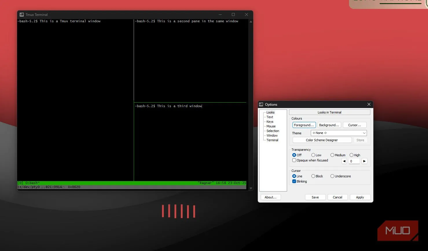 Cửa sổ tùy chọn Itmux cho phép chỉnh theme, màu sắc, phím tắt và các tùy biến terminal