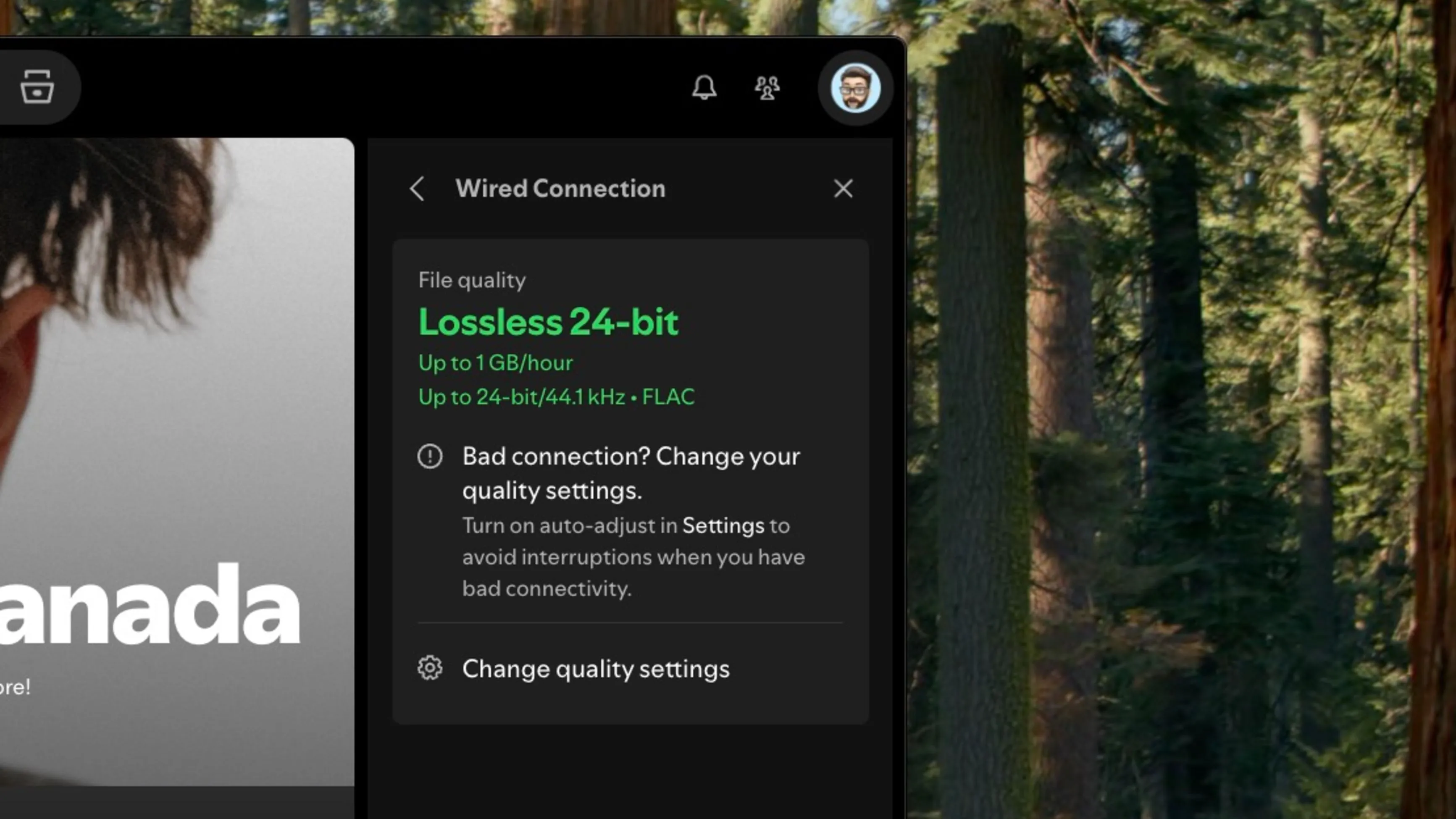 Giao diện Spotify Lossless trên ứng dụng desktop, hiển thị cài đặt chất lượng âm thanh