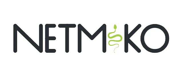 Logo Netmiko — thư viện Python tự động hóa SSH cho quản trị mạng lab và DevOps